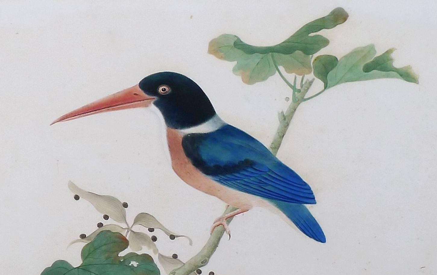 1451x915 China Trade Large Watercolor Painting Of A Bird, Kingfisher, Circa