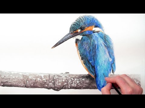 480x360 How To Paint A Vibrant Kingfisher Bird In Watercolour (Forget The