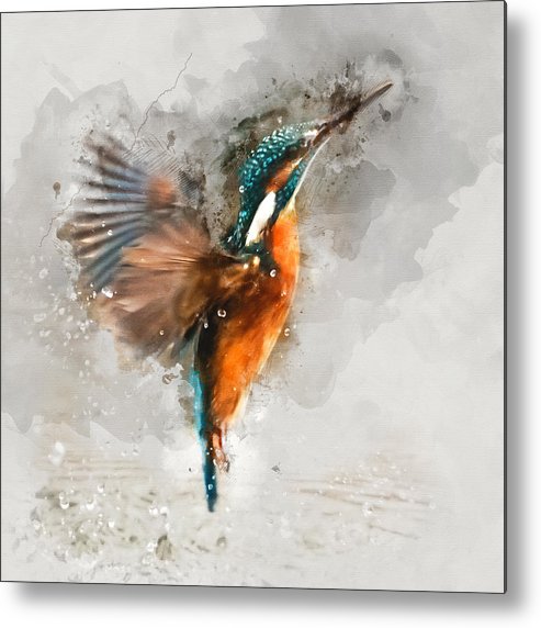 493x572 Kingfisher Bird Watercolor Portrait 1