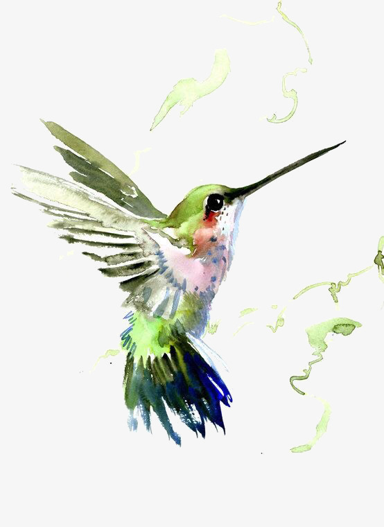 554x760 Kingfisher Creative Hand Painted Watercolor, Kingfisher