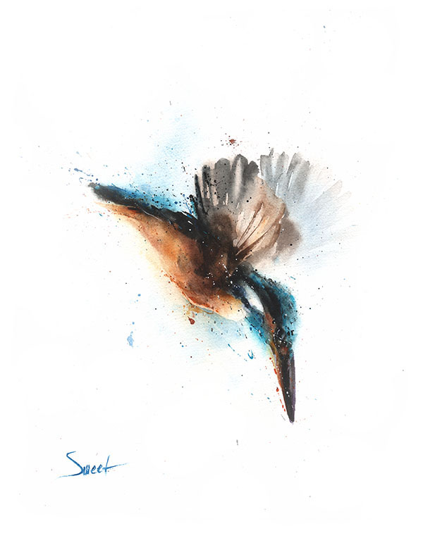 600x764 Kingfisher Original Watercolor Watercolor Animal Paintings