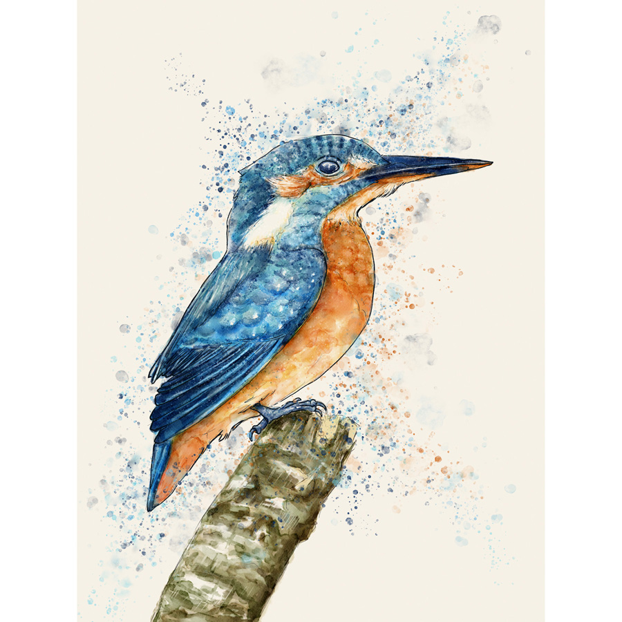 900x900 Kingfisher Watercolour Painting
