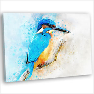 300x300 Kingfisher Watercolour Painting Canvas Print Framed Animal Wall