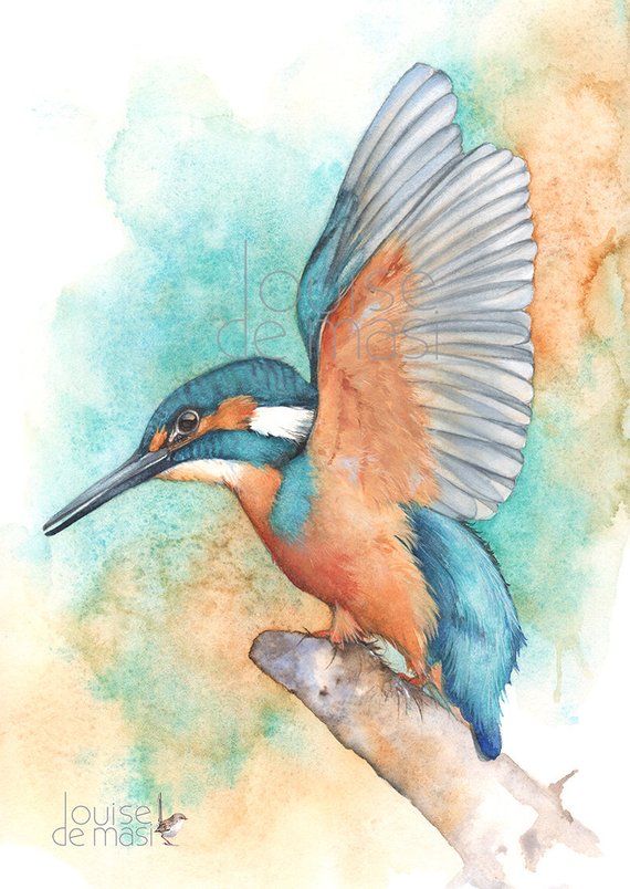570x804 Kingfisher Print Of Watercolor Painting A3 Size K24517 Etsy