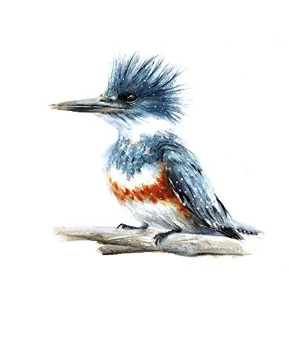 417x500 Kingfisher Watercolor Art Print Handmade