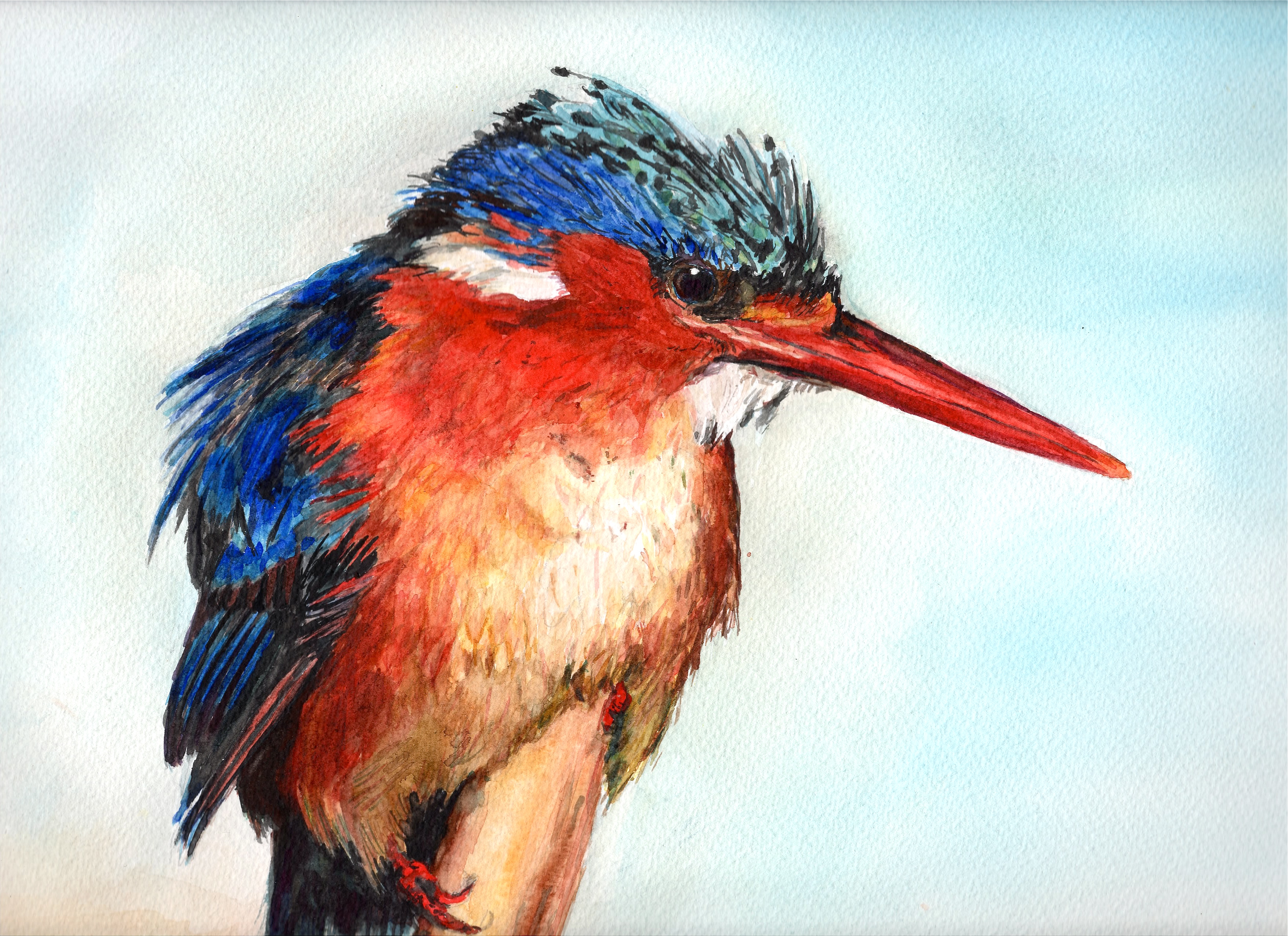 3510x2550 Kingfisher Finished. Ella Smethurst