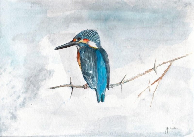 800x566 Small Blue Kingfisher By Artist Yashodan Heblekar Animals Art