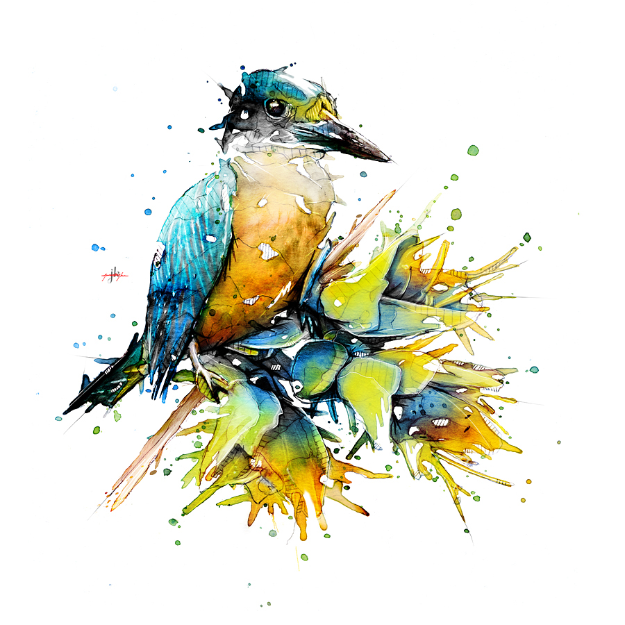 900x900 Watercolour Kingfisher On Behance
