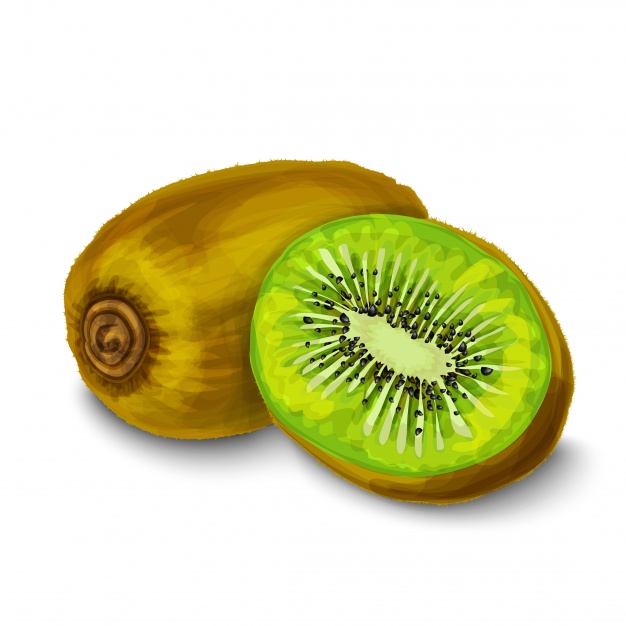 626x626 Watercolor Kiwi Vector Free Download