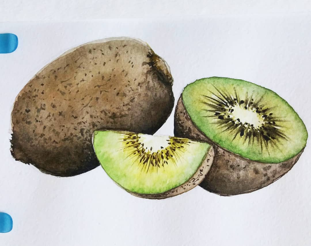 1080x853 Watercolorkiwi