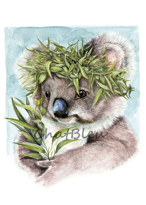 570x799 Koala Art Le Koala Watercolor Archival Print A4 Etsy