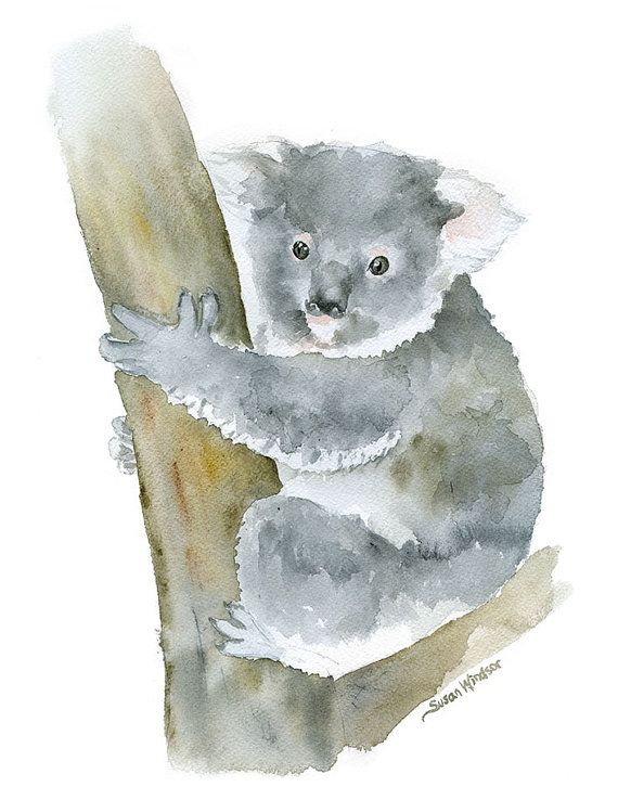 570x726 Koala Watercolor Painting