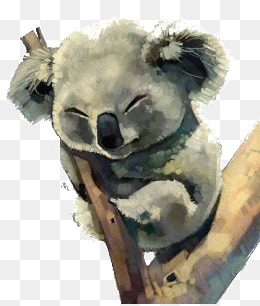 260x306 Watercolor Koala Png, Vectors, Psd, And Clipart For Free Download