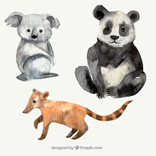 626x626 Watercolor Koala, Panda And Lemur Vector Free Download