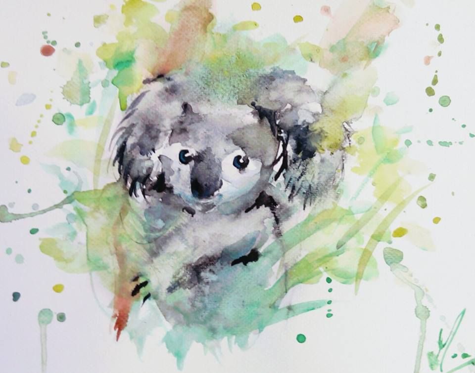 960x755 Koalalibre Watercolor Of Koala Koala