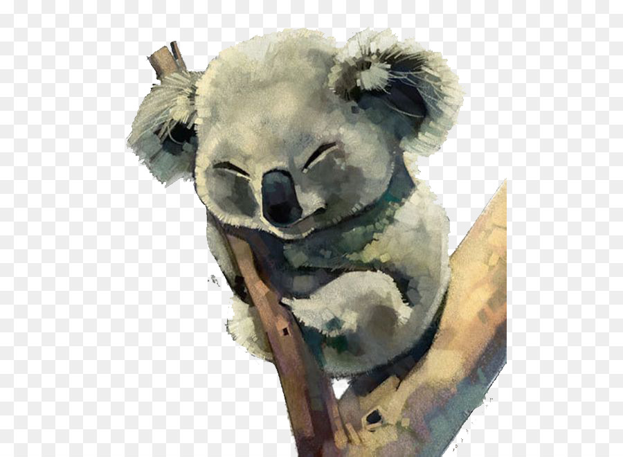 900x660 Australia Koala Watercolor Painting