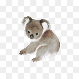 260x260 Hand Painted Koala Png Images Vectors And Psd Files Free