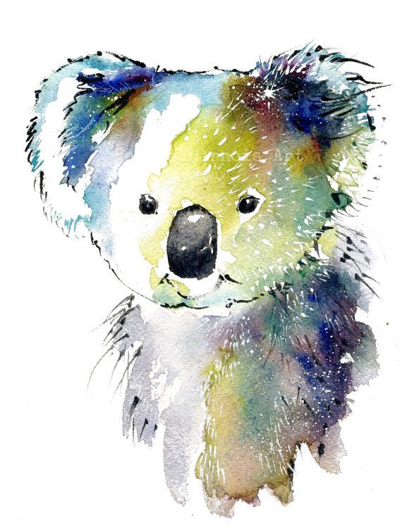 570x755 Koala Bear Art, Watercolor Art Print, Bear, Interior Design, Wall
