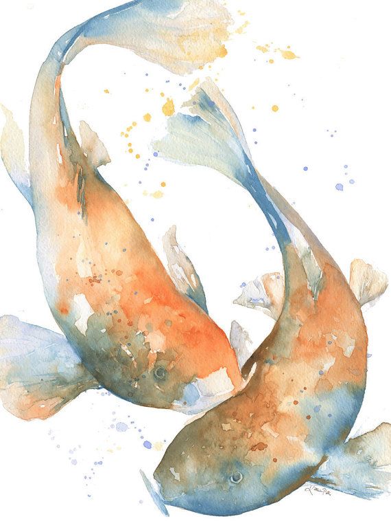 570x758 Koi Watercolor Print By Katrina Pete. Japanese Koi Fish Print Of