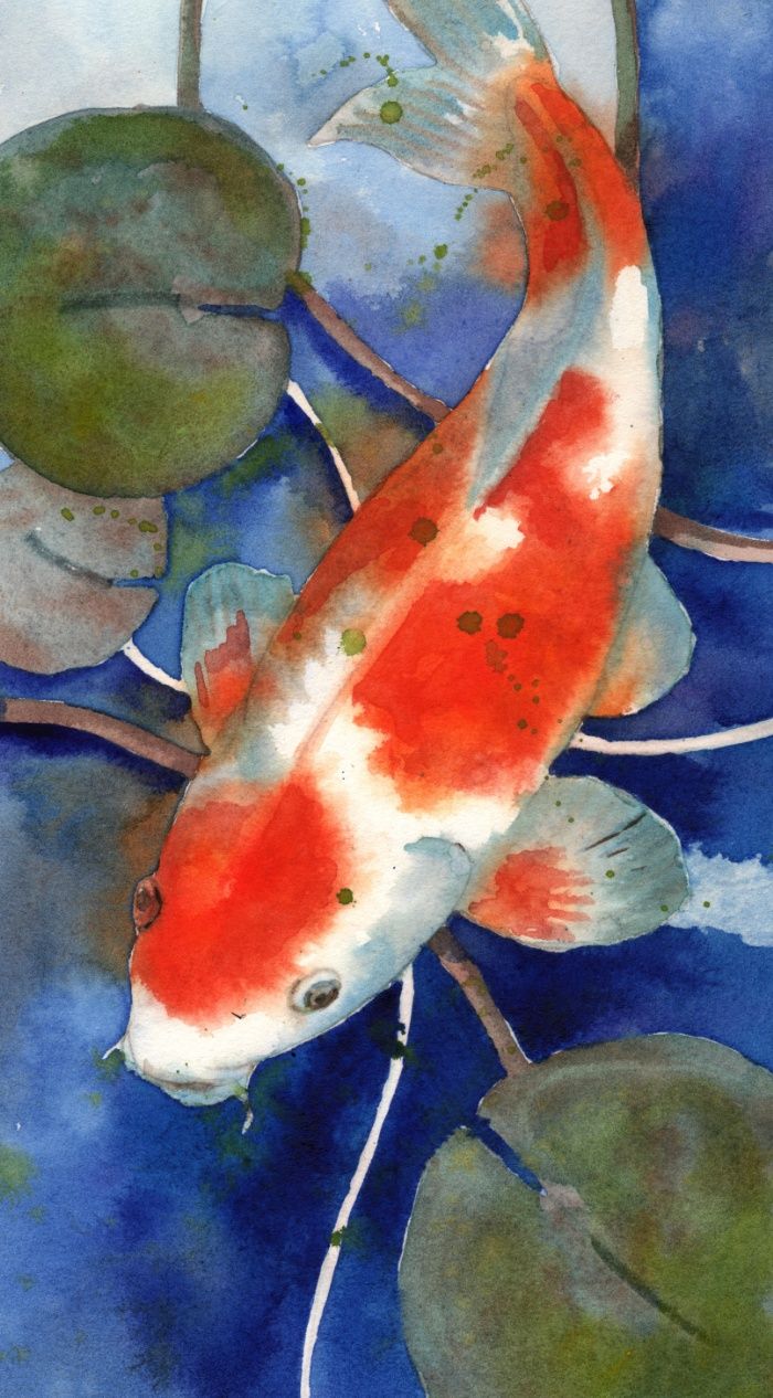 700x1266 Koi Fish Watercolor Paintings
