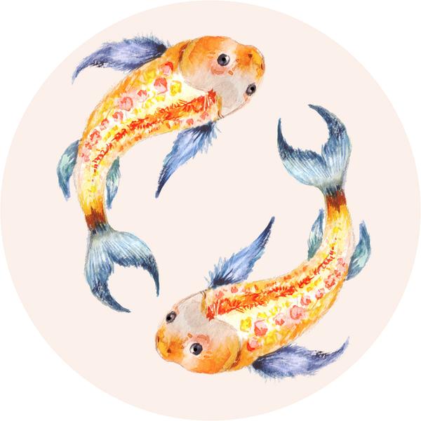 600x600 Pretty Colorful Japanese Yin Yang Koi Fish Watercolor Art Vinyl