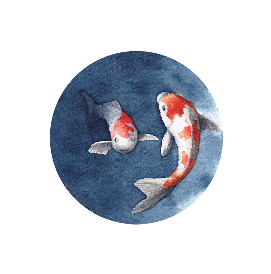 888x899 Watercolour Koi Fish By Daruma Girl