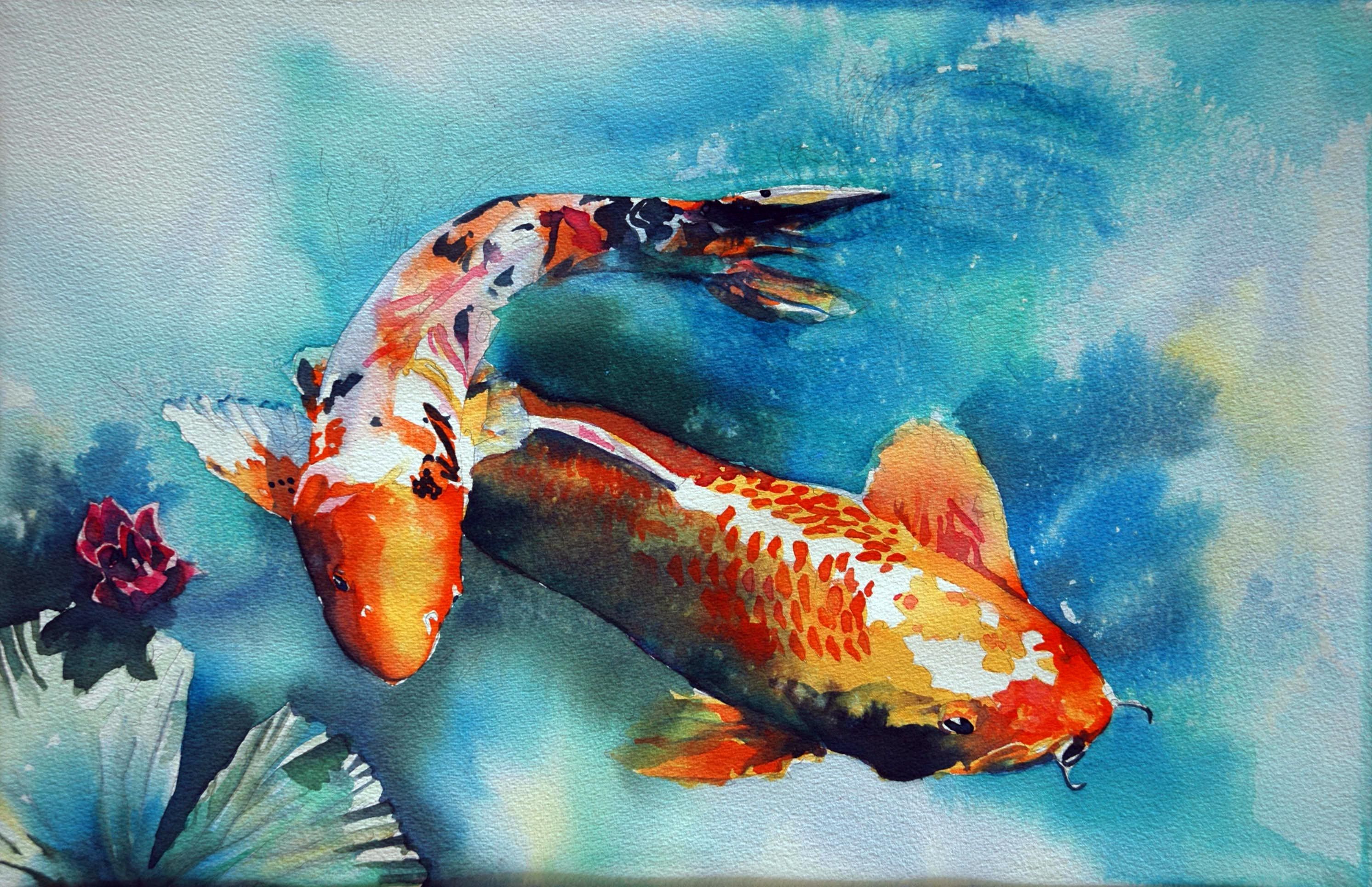 2984x1930 Gallery Koi Fish Watercolor Painting,