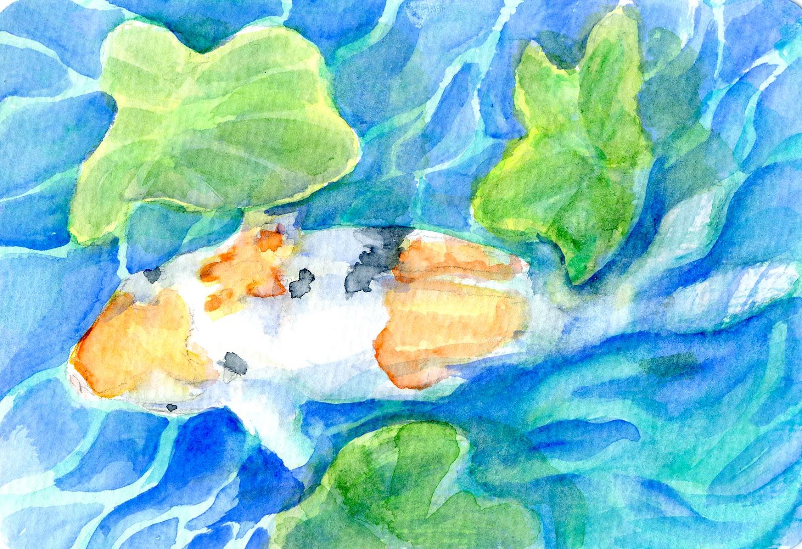 1600x1097 Koi Fish Studies