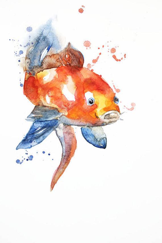 570x855 Original Watercolor Painting Koi Fish Gold Fish For Children Etsy