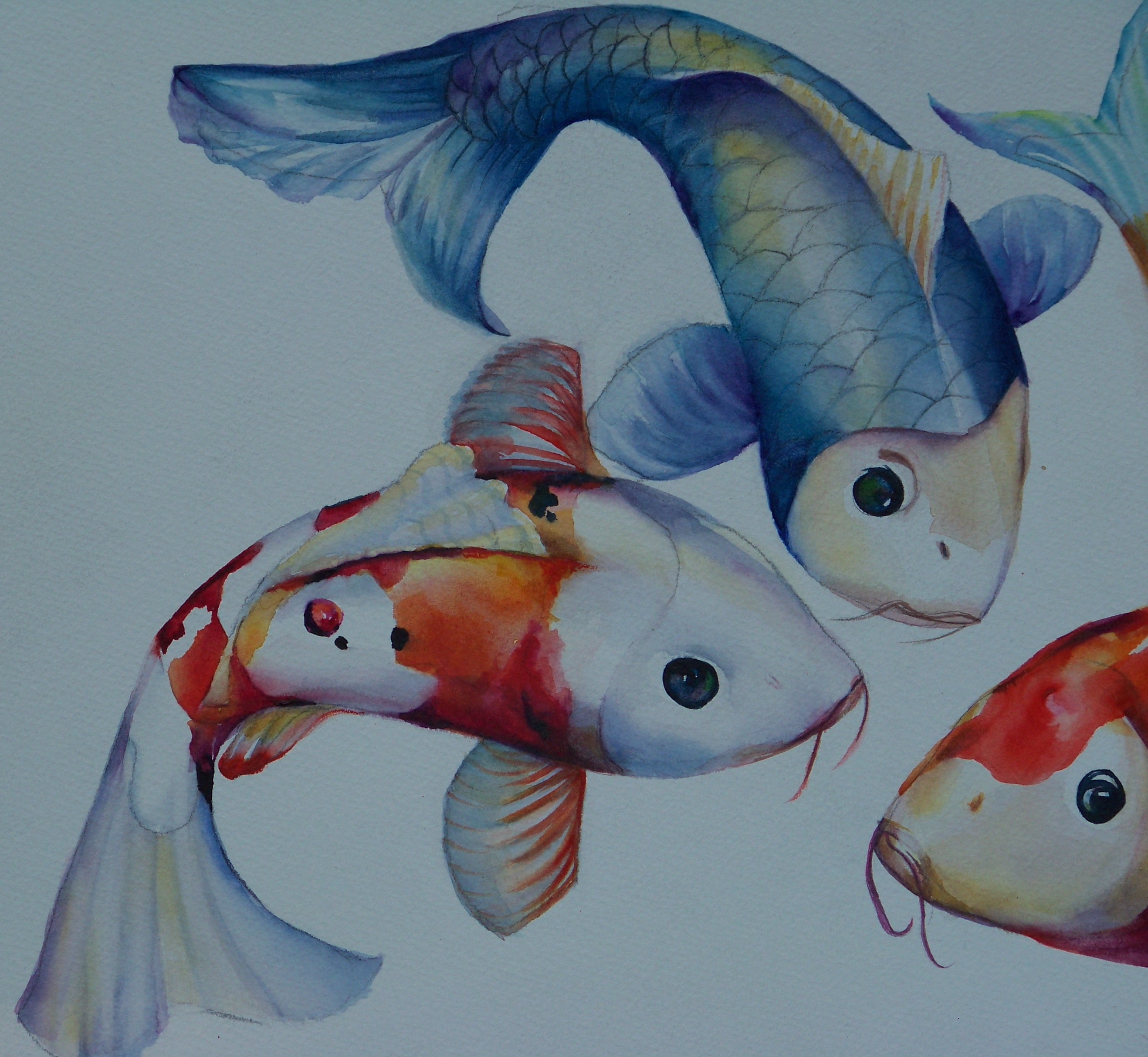 2635x2427 Carp A Painting A Day