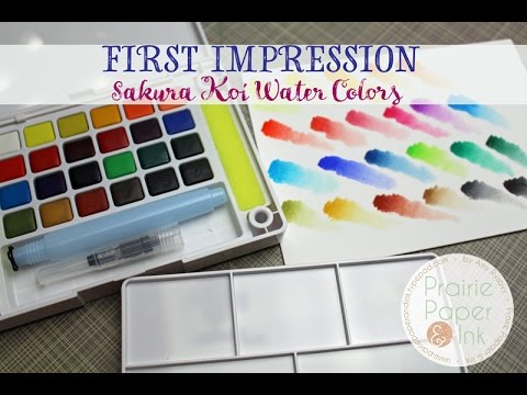 480x360 Sakura Koi Water Colors First Impression Amp Review