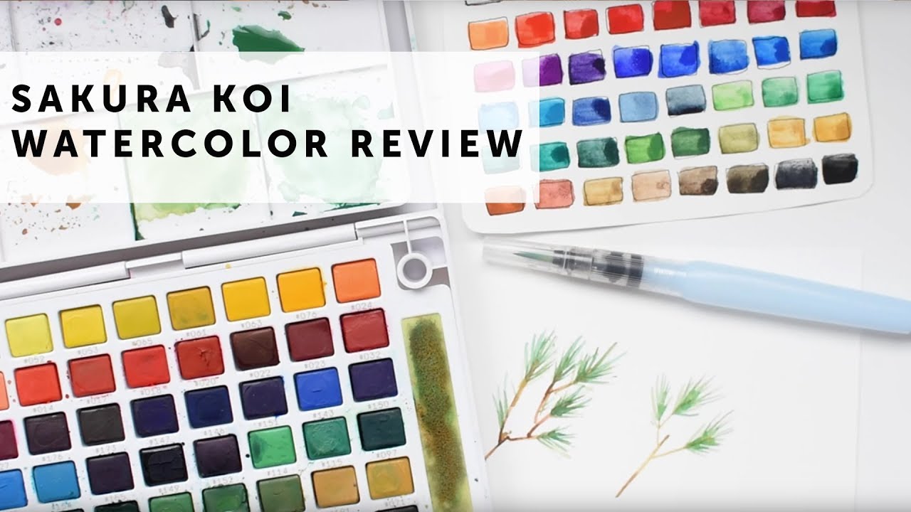 1280x720 Sakura Koi Watercolor Review