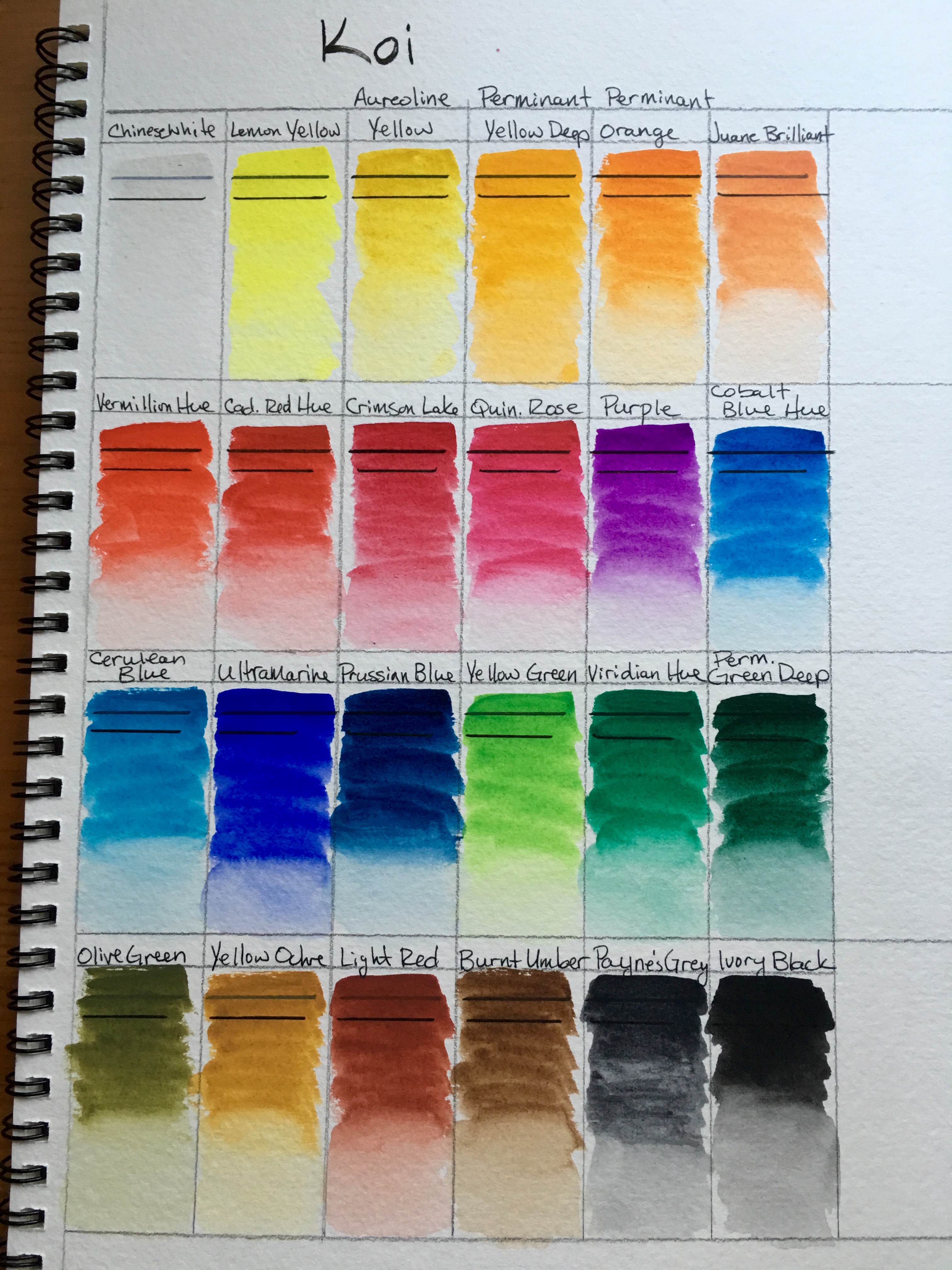 3024x4032 ~ Doodlewash Review Koi Sketch Kit And Cotman Pocket Box