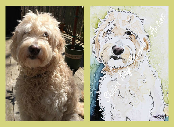 570x416 Custom Pet Portraits Watercolor Sketch On Yupo 5 X 7 Samples