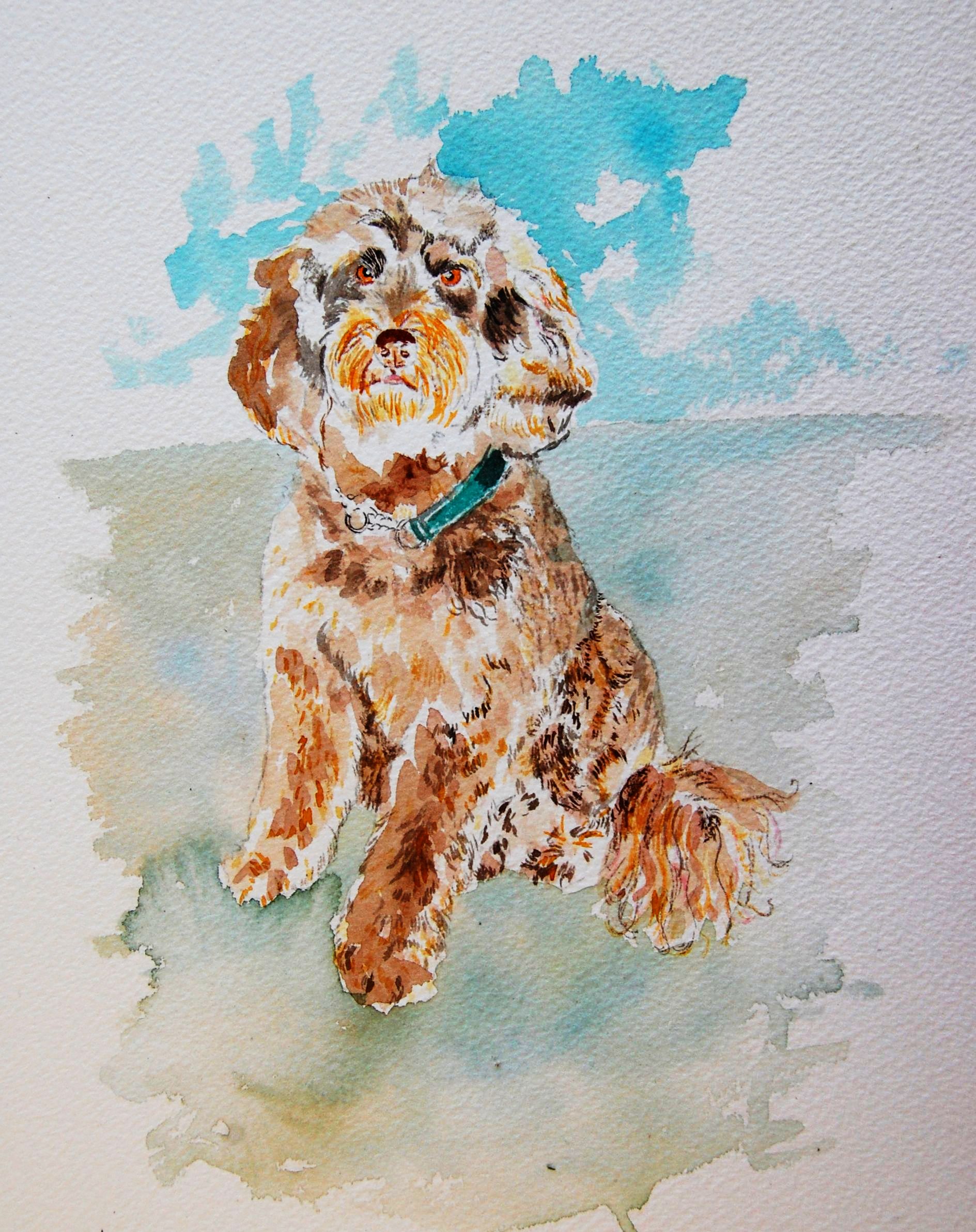 1889x2385 Dogs, Labradoodles, Havanese And Aquarelles