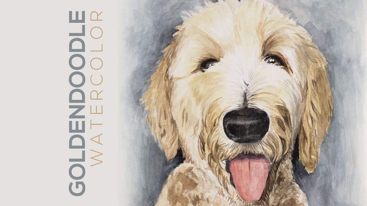 1280x720 Goldendoodle Watercolor Painting Sped Up