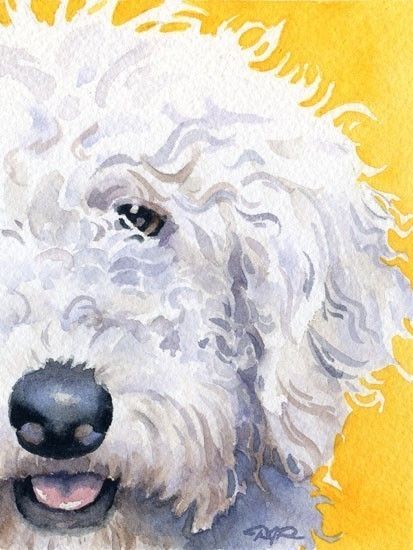 413x550 Labradoodle Art Print By Watercolor Artist Dj Rogers Animal