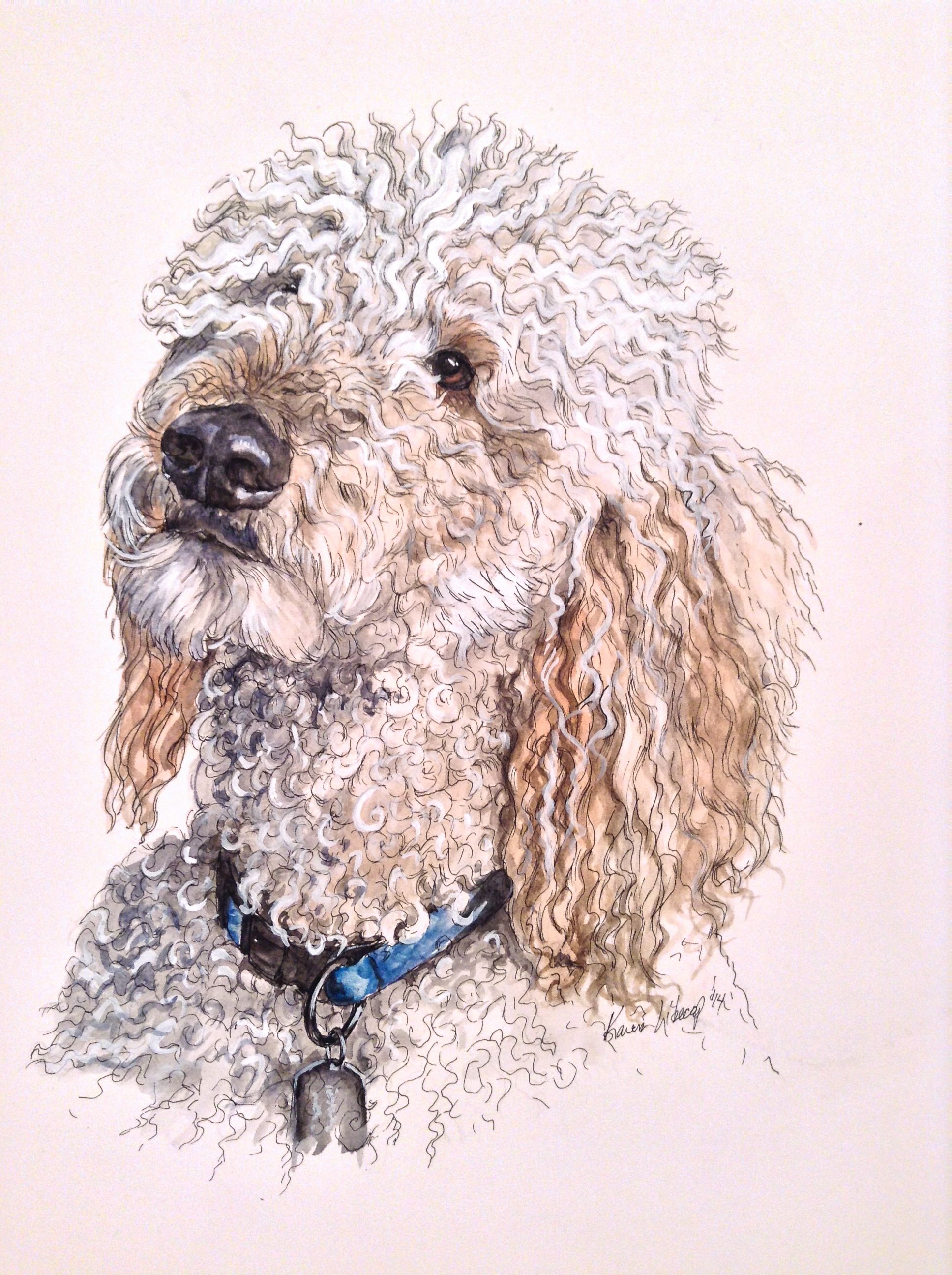 1936x2592 Labradoodle 11x14 Watercolor And Ink Karen Libecap My Paintings