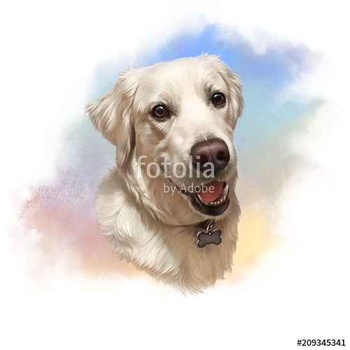 500x500 Illustration Of Labrador Retriever. Guide Dog, A Disability