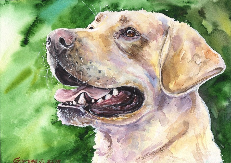 942x663 Labrador Watercolor Print Of The Original Watercolor Painting