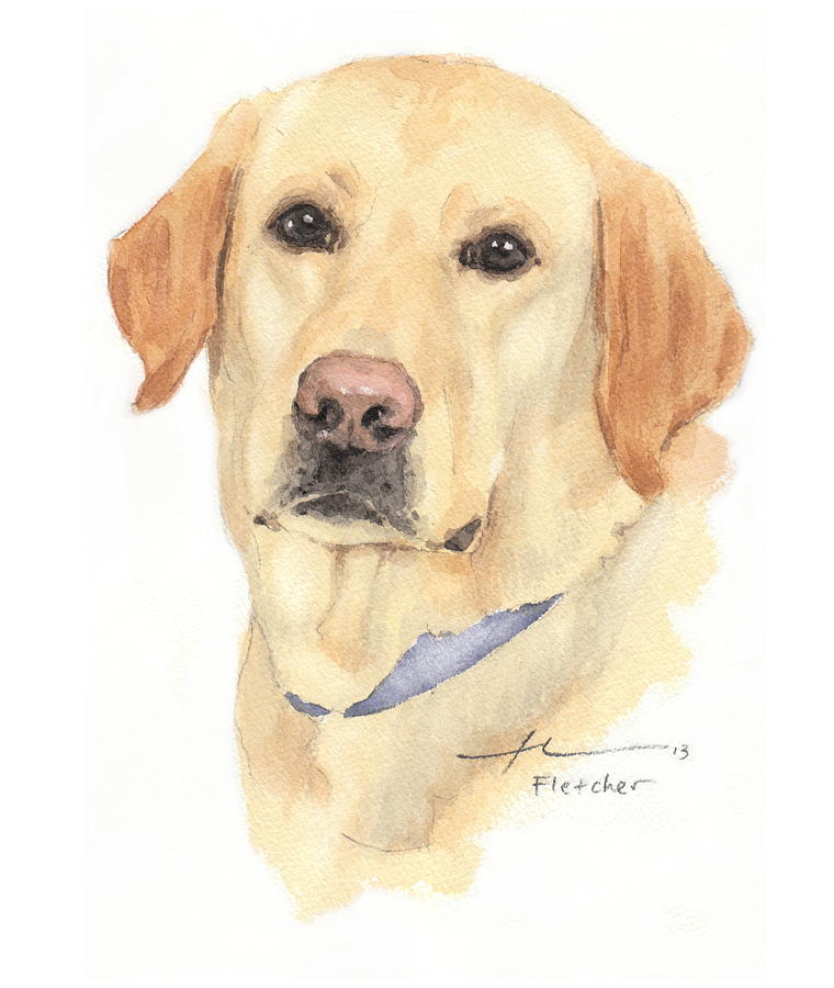 760x900 Labrador Dog Watercolor Portrait Painting By Mike Theuer