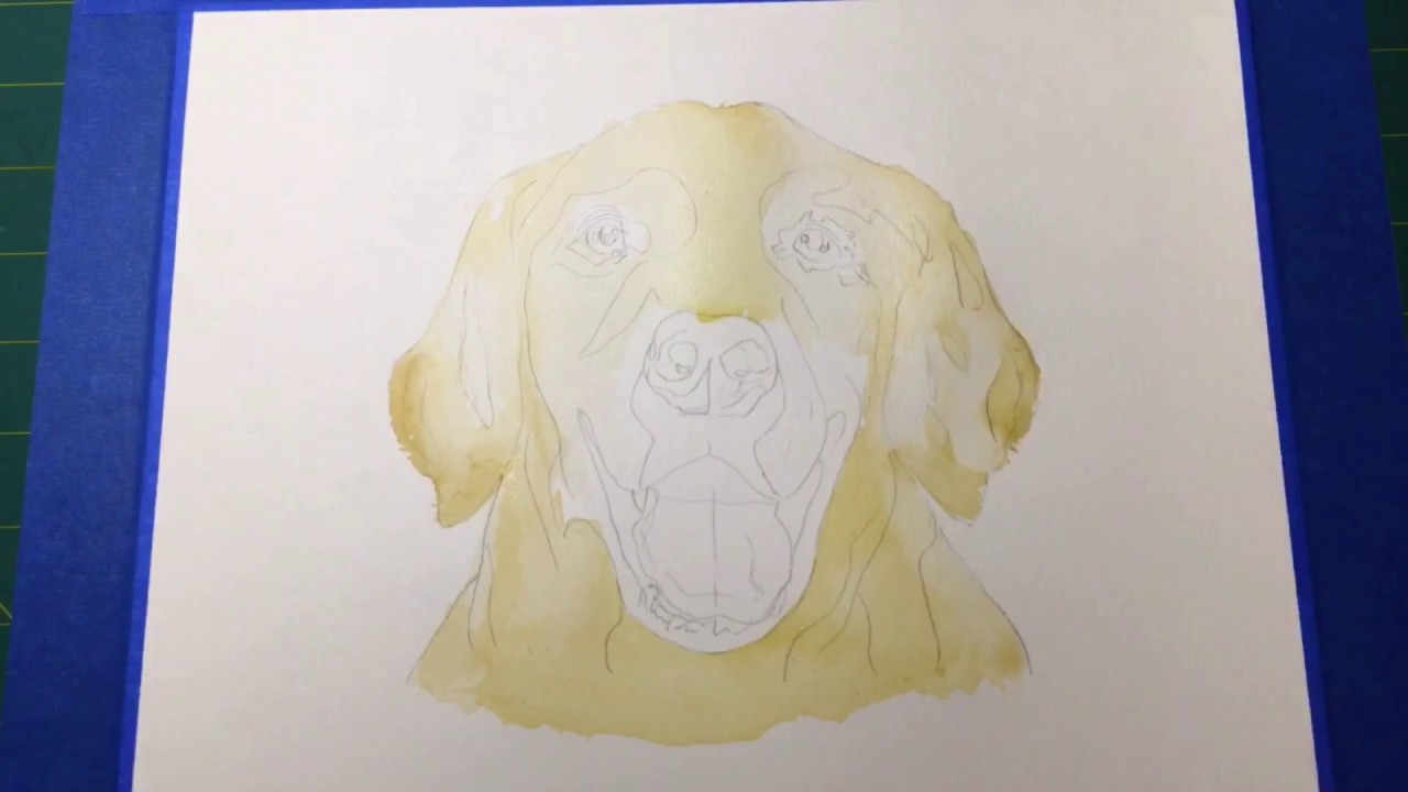 1280x720 Labrador Retriever Portrait Speed Watercolor Painting