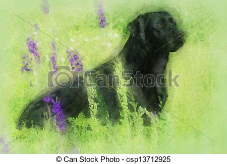 450x326 Watercolor Painting Portrait Of Black Labrador. Watercolor