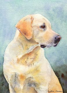 231x320 Watercolor Portrait Of A Yellow Labrador Retriever By Cynthia
