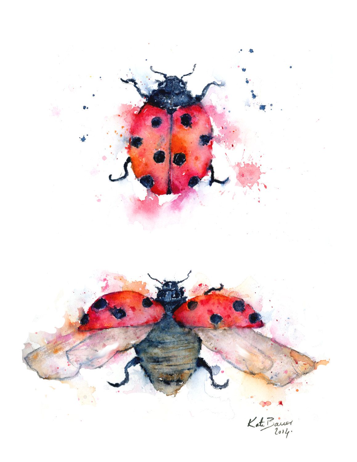 1159x1500 Ladybug Illustration