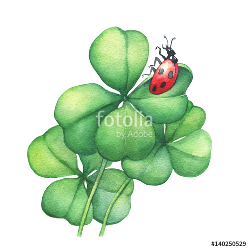 500x500 Ladybug Sitting On A Green Four Leaf Clover. Hand Drawn Watercolor