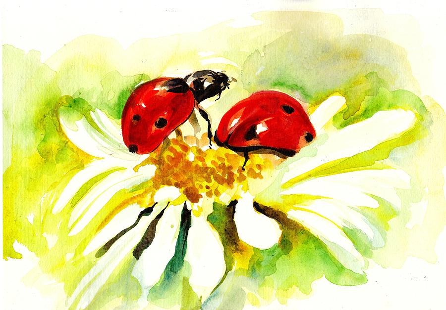 900x627 Two Ladybugs In Daisy After My Original Watercolor Painting By