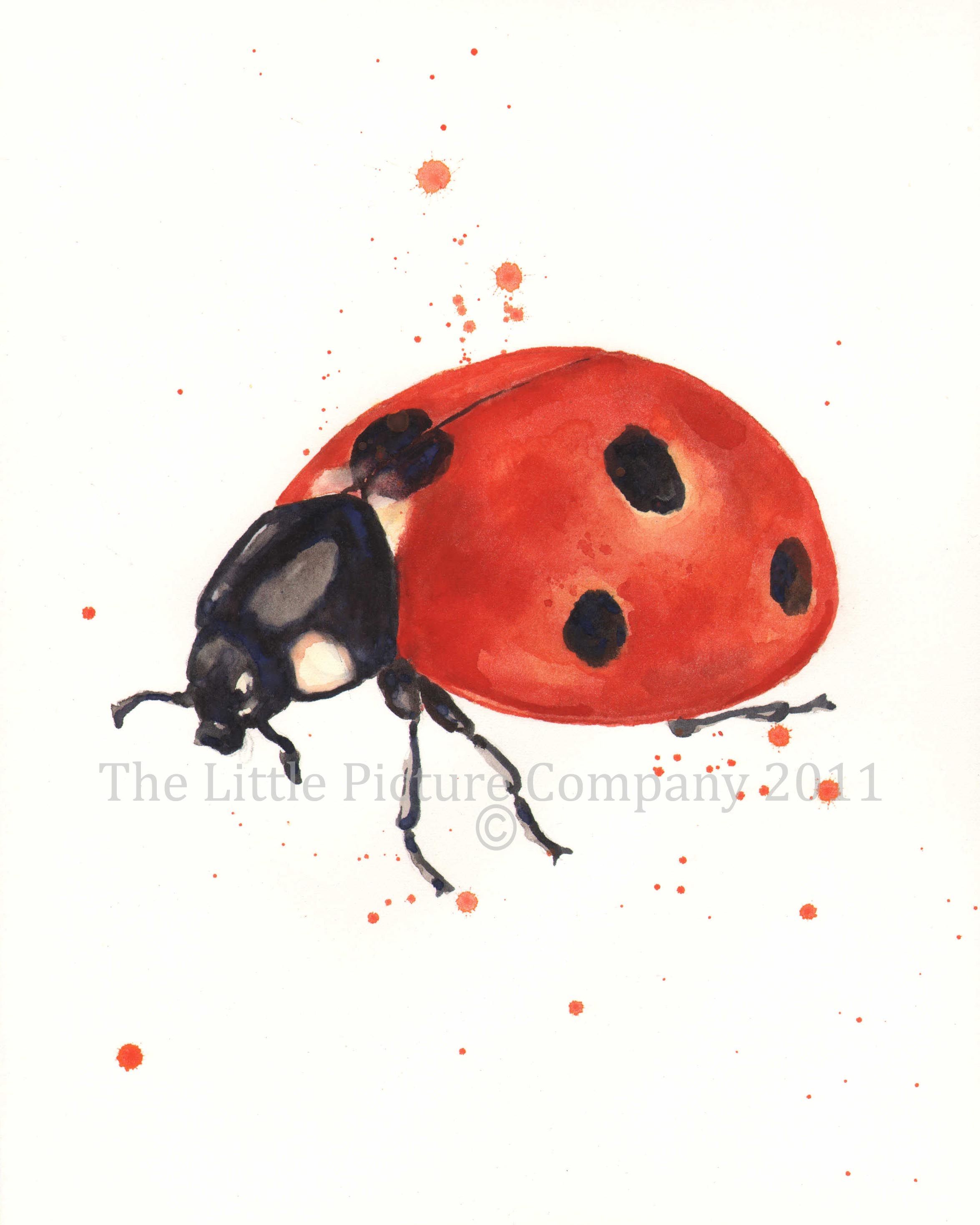 2350x2936 Watercolour Ladybird How To Watercolor! Watercolor