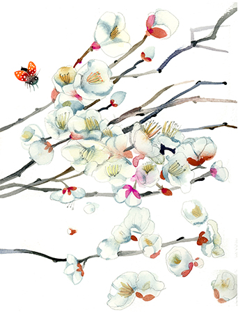 342x450 Apple Blossoms Ladybug Watercolor Greeting Card By Masha D