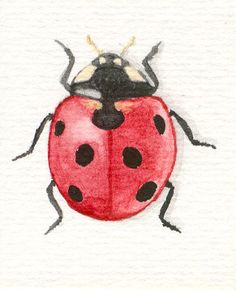 236x292 Funny Art Kids Room Art Ladybug Print Ladybird By Eastwitching